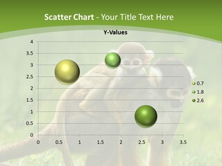 Mammal Small Macaca PowerPoint Template