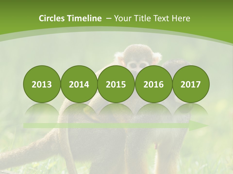 Mammal Small Macaca PowerPoint Template