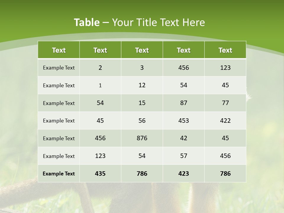 Mammal Small Macaca PowerPoint Template