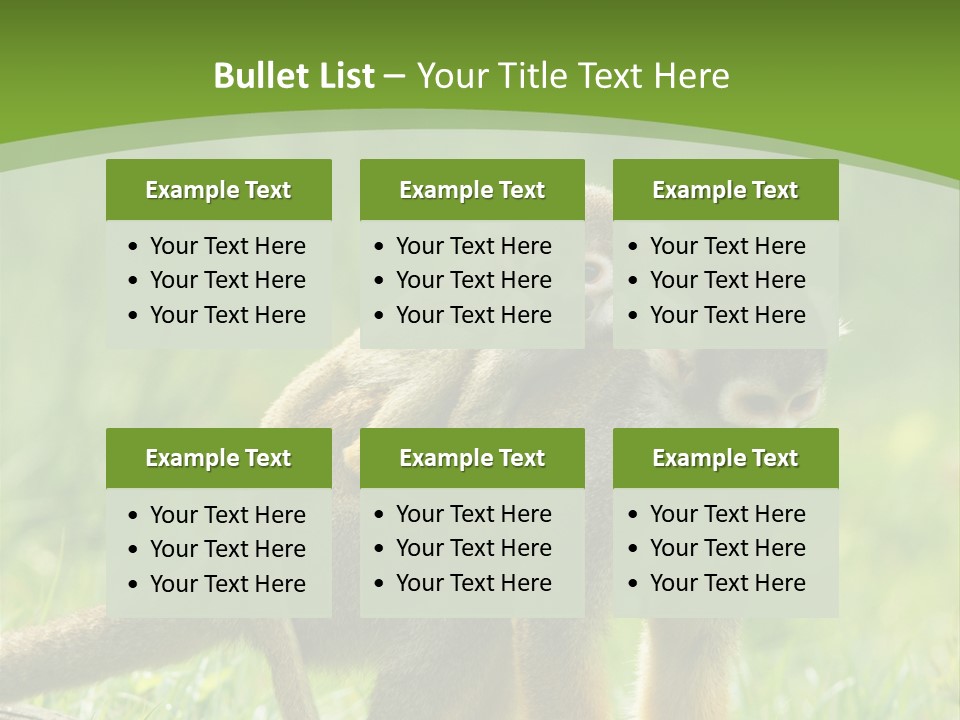 Mammal Small Macaca PowerPoint Template