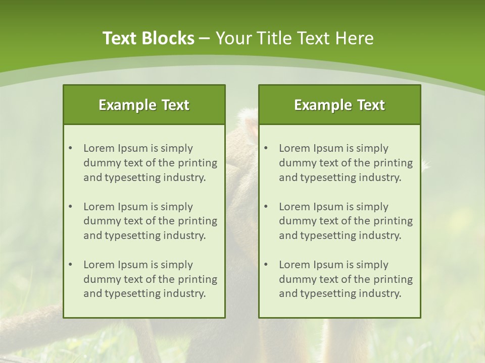 Mammal Small Macaca PowerPoint Template