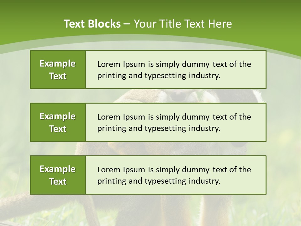 Mammal Small Macaca PowerPoint Template