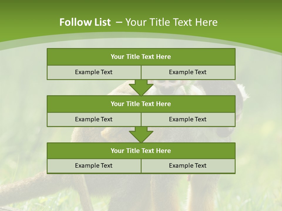 Mammal Small Macaca PowerPoint Template