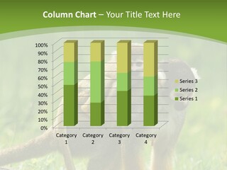 Mammal Small Macaca PowerPoint Template