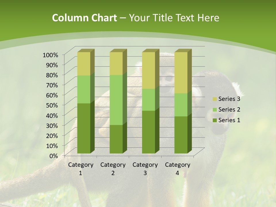 Mammal Small Macaca PowerPoint Template