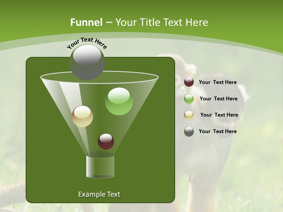 Mammal Small Macaca PowerPoint Template