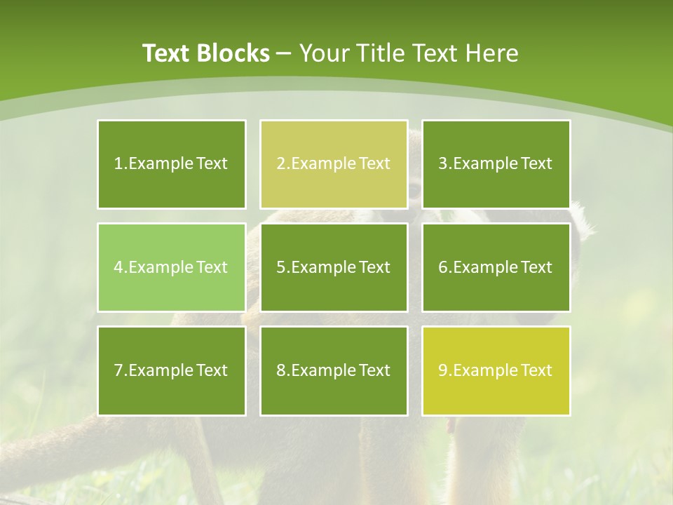 Mammal Small Macaca PowerPoint Template
