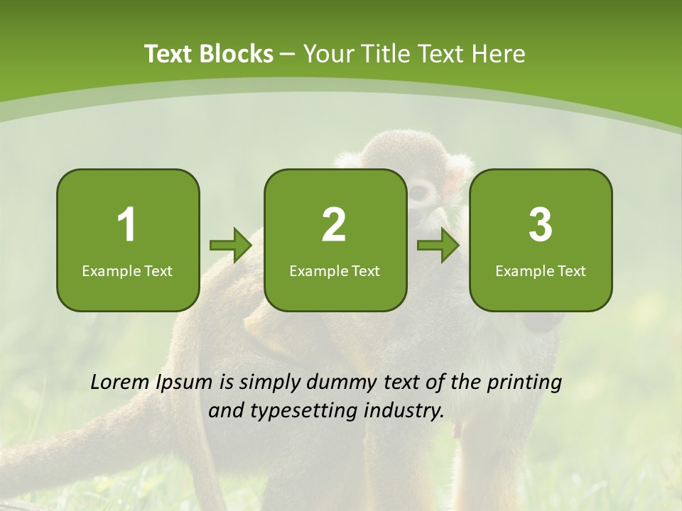 Mammal Small Macaca PowerPoint Template