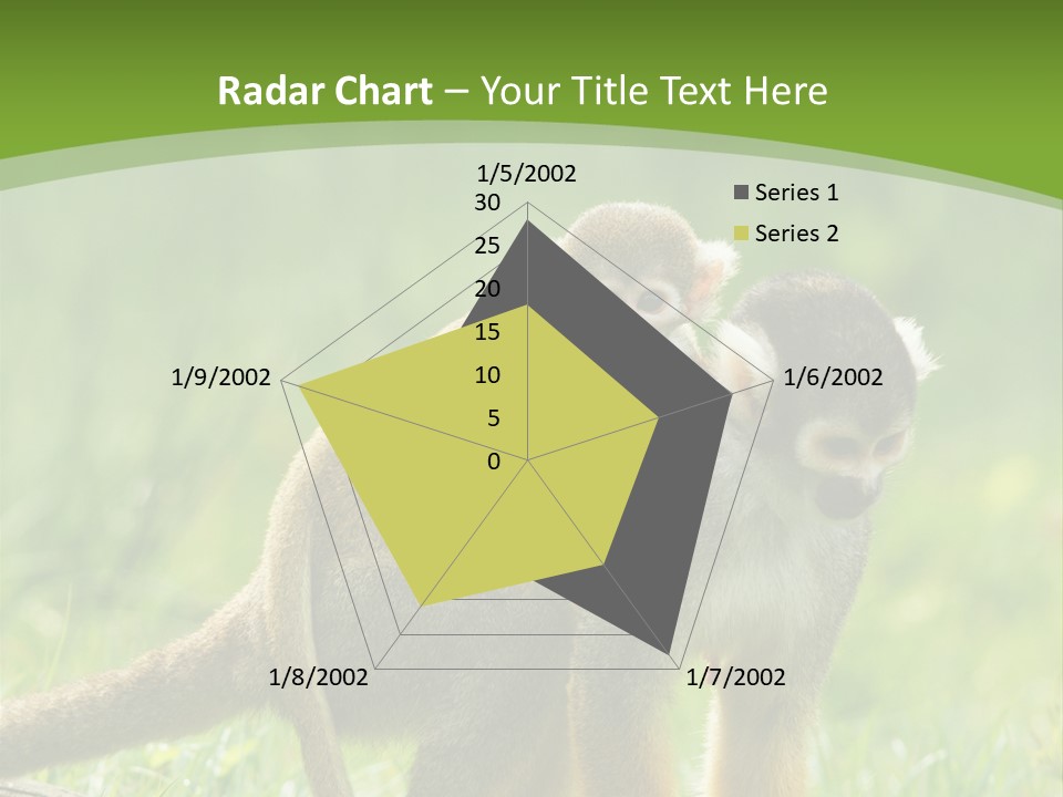 Mammal Small Macaca PowerPoint Template