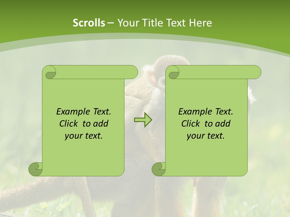 Mammal Small Macaca PowerPoint Template
