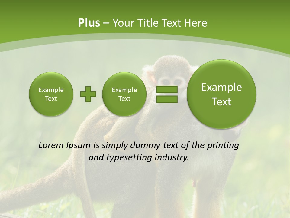 Mammal Small Macaca PowerPoint Template