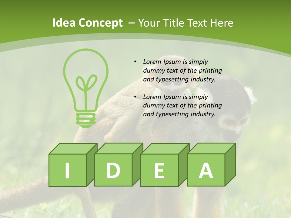 Mammal Small Macaca PowerPoint Template