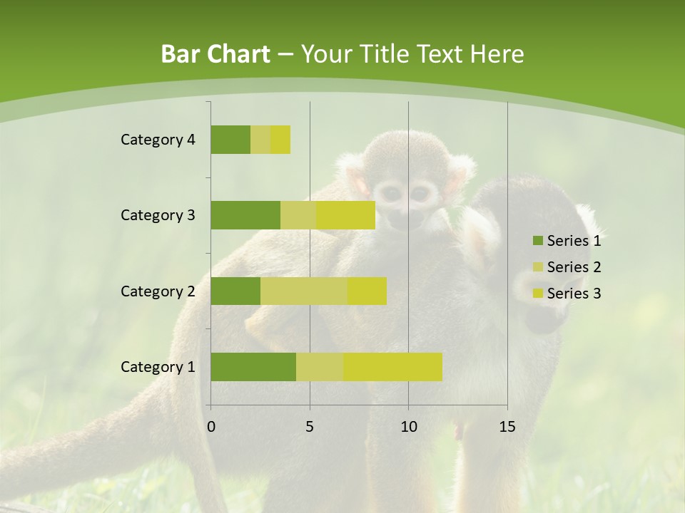Mammal Small Macaca PowerPoint Template