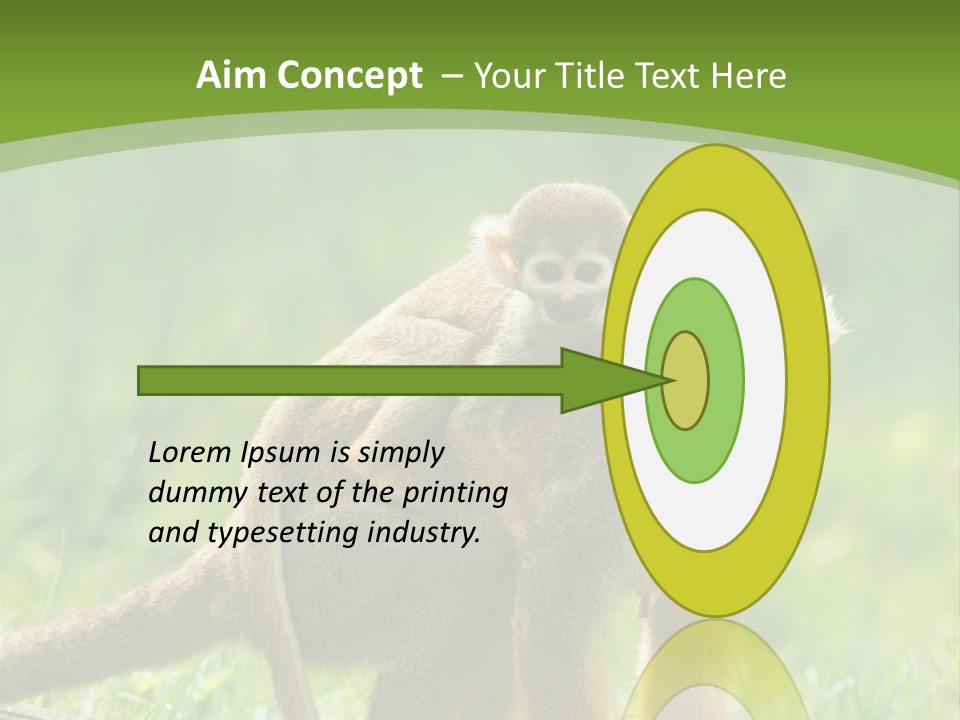 Mammal Small Macaca PowerPoint Template