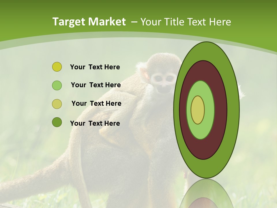 Mammal Small Macaca PowerPoint Template