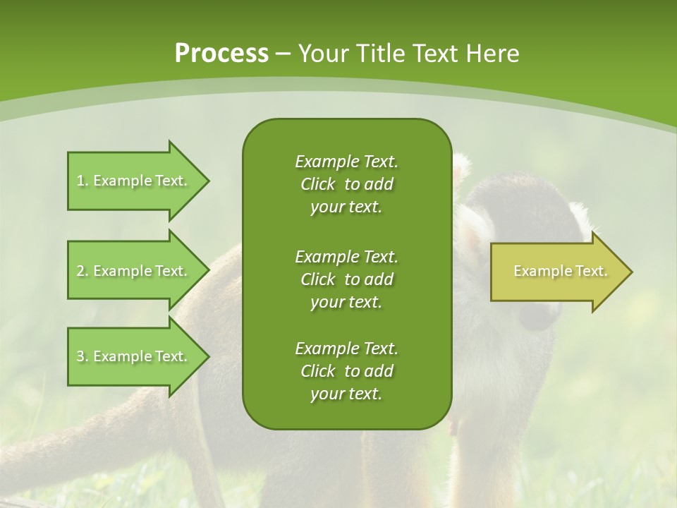 Mammal Small Macaca PowerPoint Template