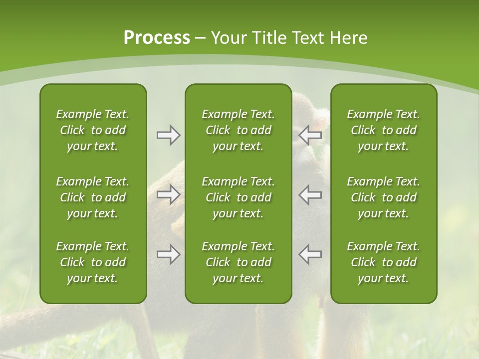 Mammal Small Macaca PowerPoint Template