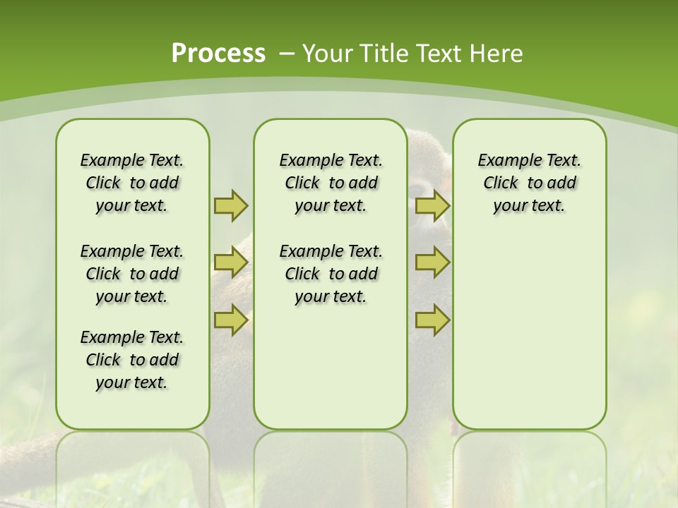 Mammal Small Macaca PowerPoint Template