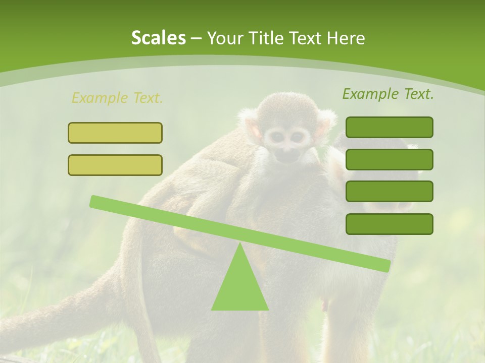 Mammal Small Macaca PowerPoint Template