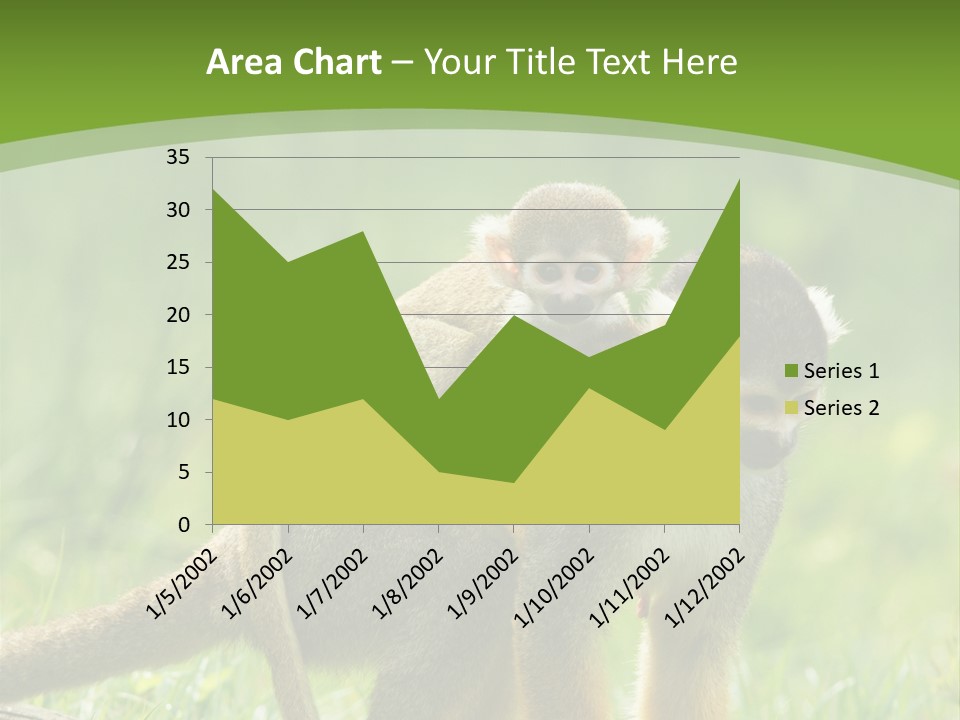 Mammal Small Macaca PowerPoint Template