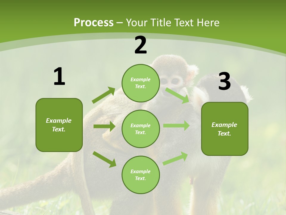 Mammal Small Macaca PowerPoint Template