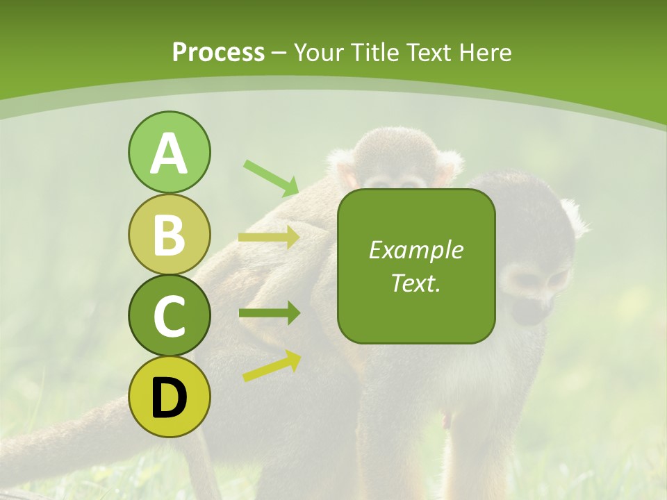 Mammal Small Macaca PowerPoint Template