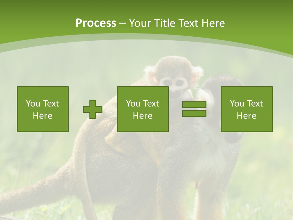Mammal Small Macaca PowerPoint Template