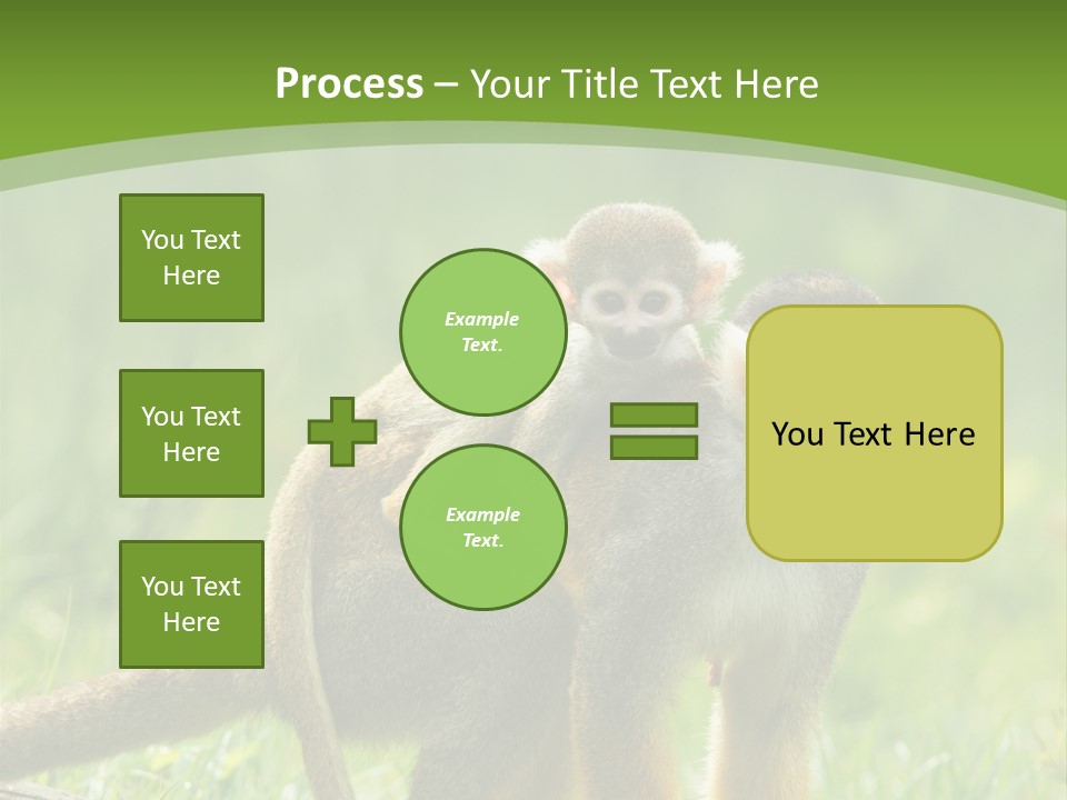 Mammal Small Macaca PowerPoint Template