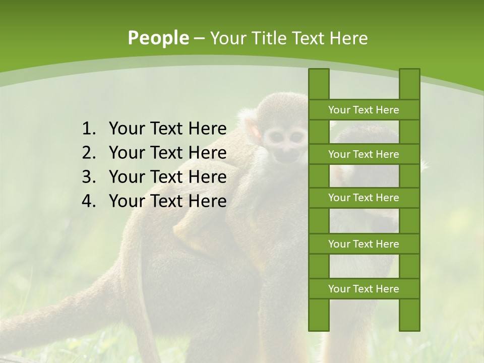 Mammal Small Macaca PowerPoint Template