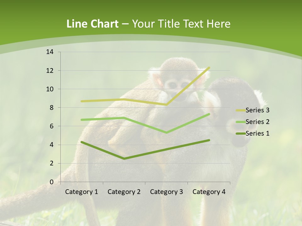Mammal Small Macaca PowerPoint Template