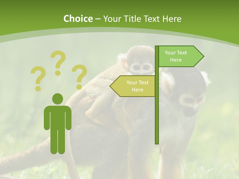 Mammal Small Macaca PowerPoint Template