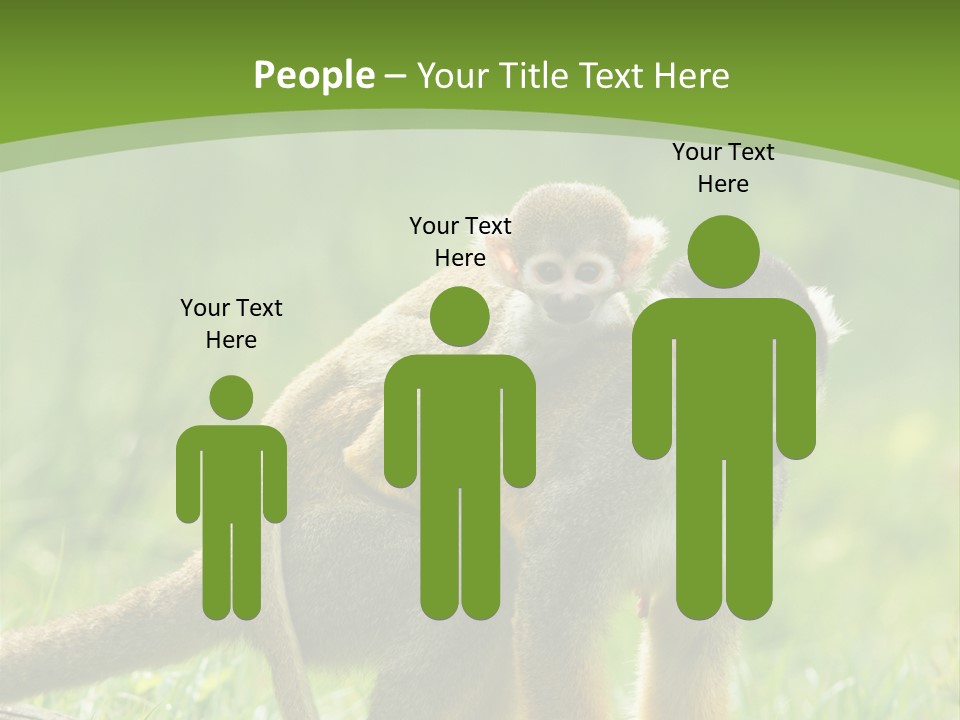 Mammal Small Macaca PowerPoint Template
