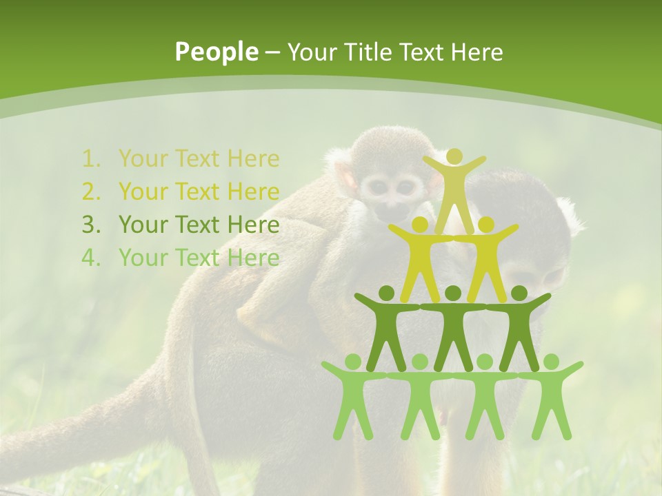 Mammal Small Macaca PowerPoint Template