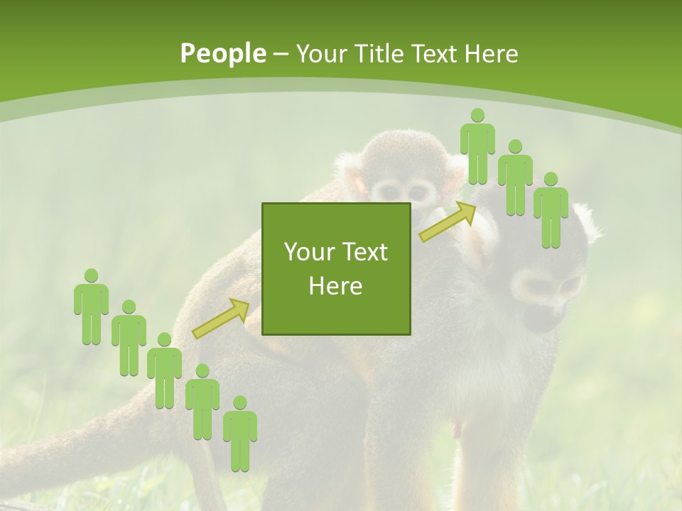 Mammal Small Macaca PowerPoint Template