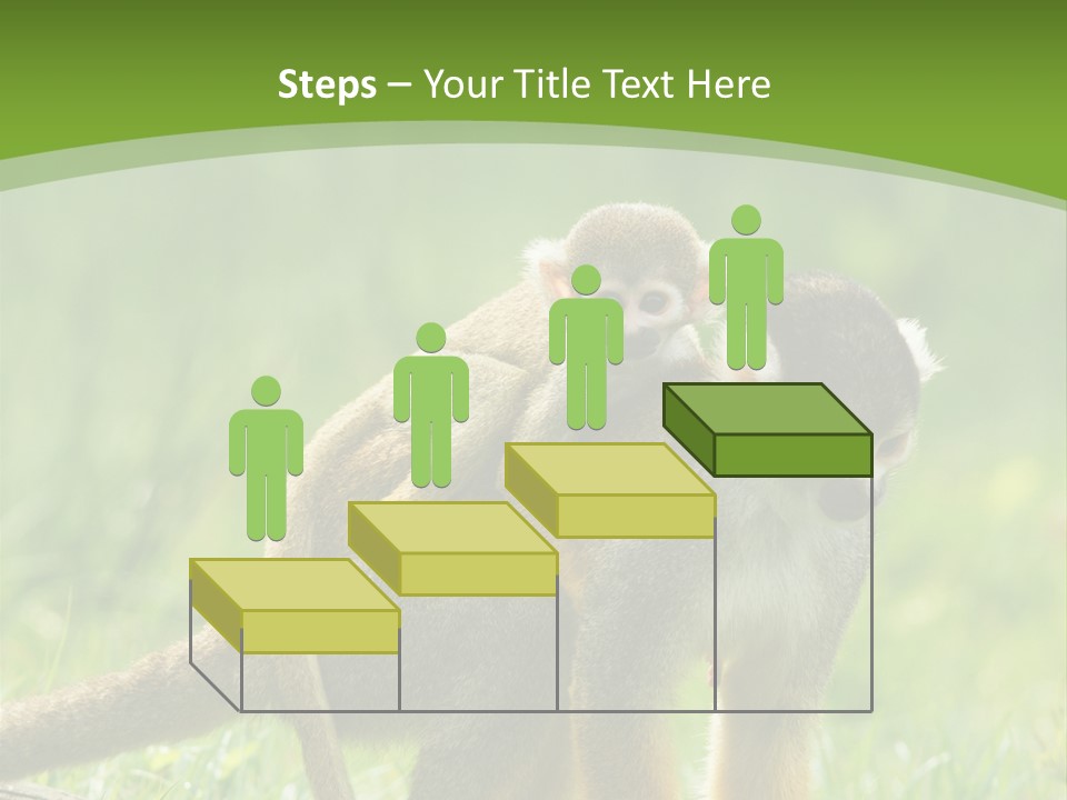Mammal Small Macaca PowerPoint Template