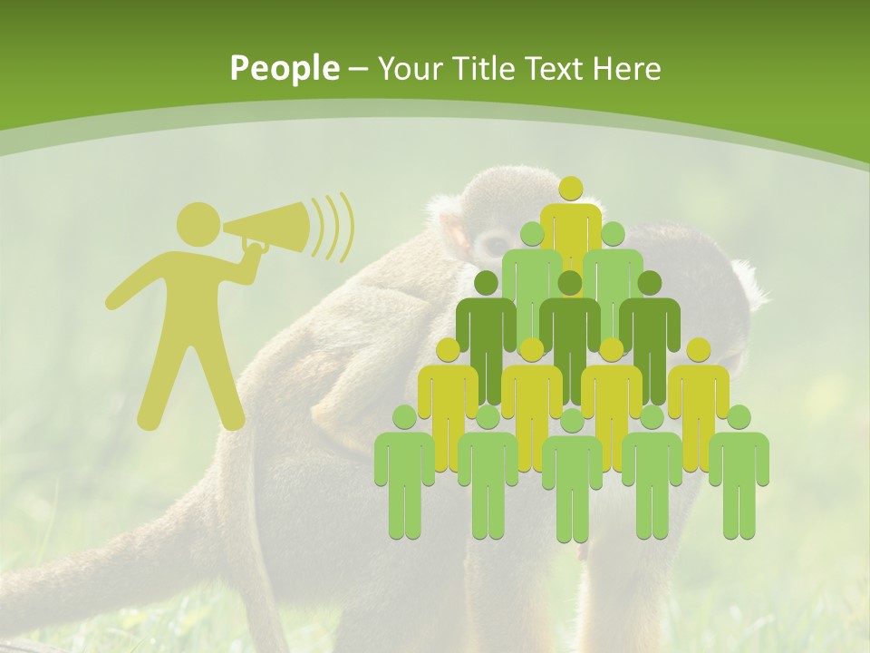 Mammal Small Macaca PowerPoint Template