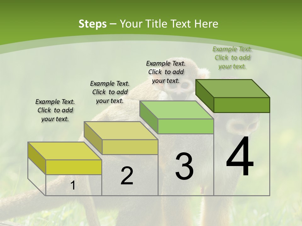 Mammal Small Macaca PowerPoint Template