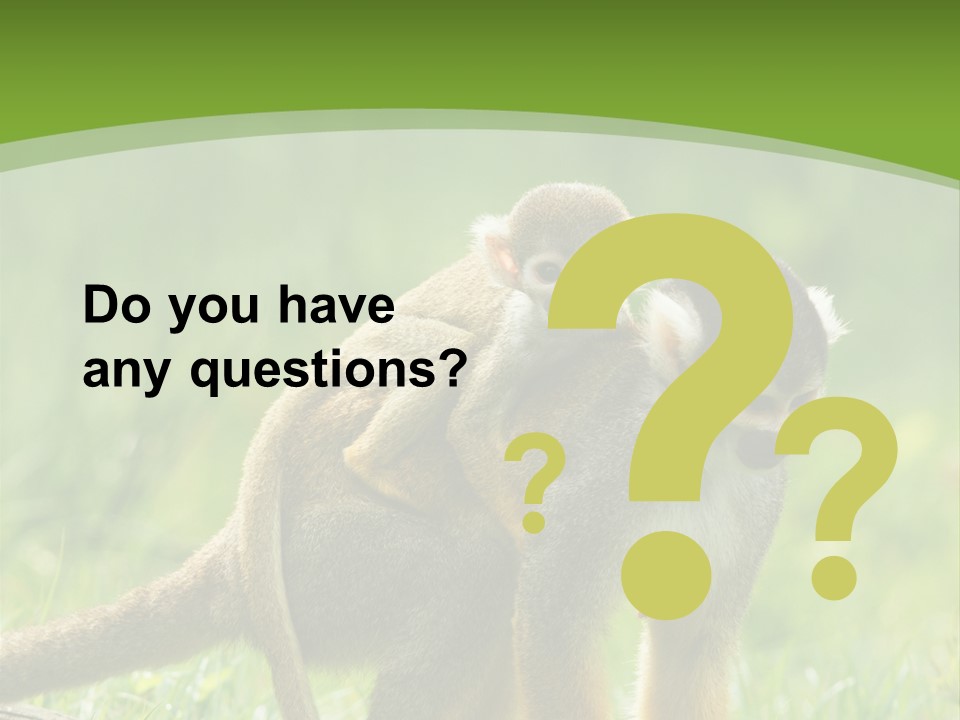 Mammal Small Macaca PowerPoint Template