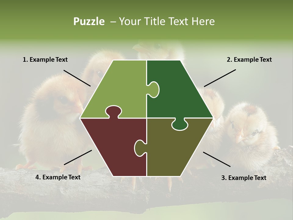 Babies Birds Birds On Tree Branch Newborns Chicks PowerPoint Template