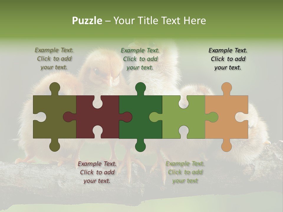 Babies Birds Birds On Tree Branch Newborns Chicks PowerPoint Template