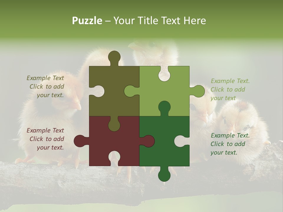 Babies Birds Birds On Tree Branch Newborns Chicks PowerPoint Template