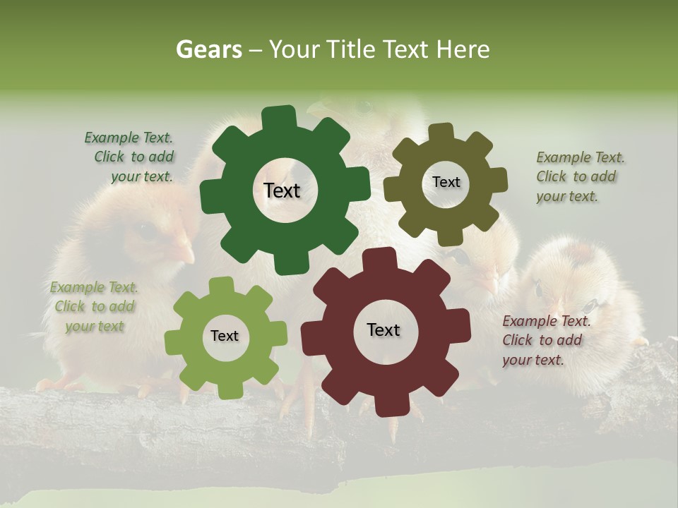 Babies Birds Birds On Tree Branch Newborns Chicks PowerPoint Template