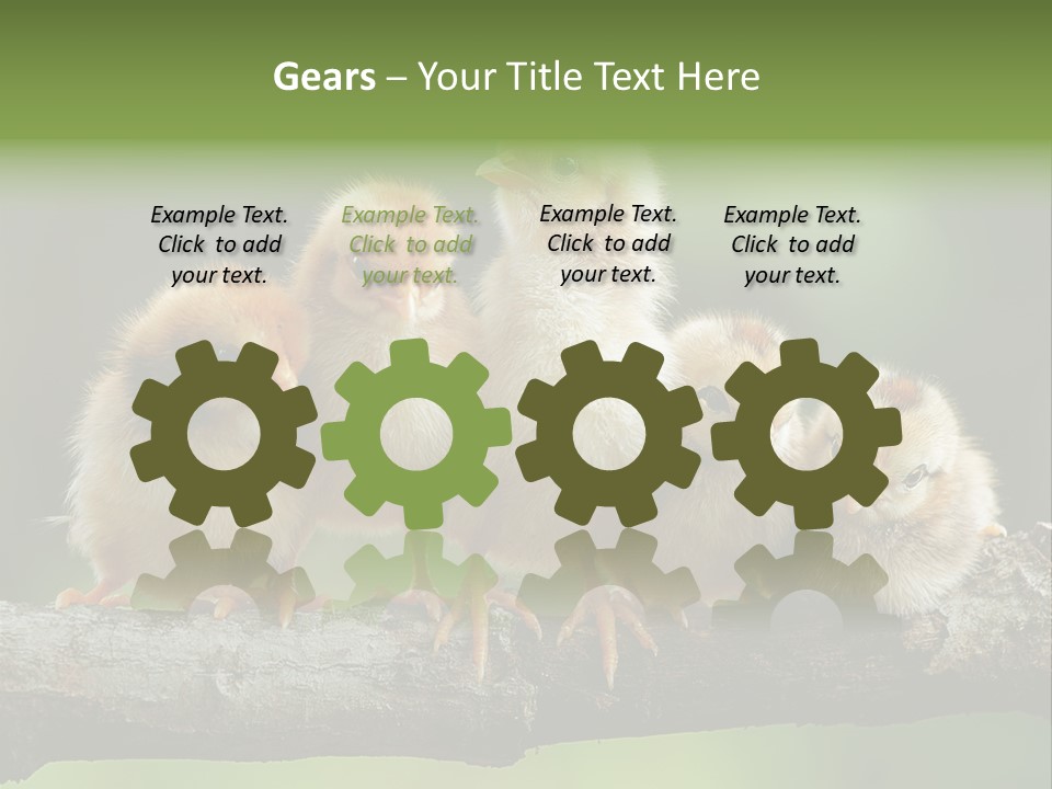 Babies Birds Birds On Tree Branch Newborns Chicks PowerPoint Template