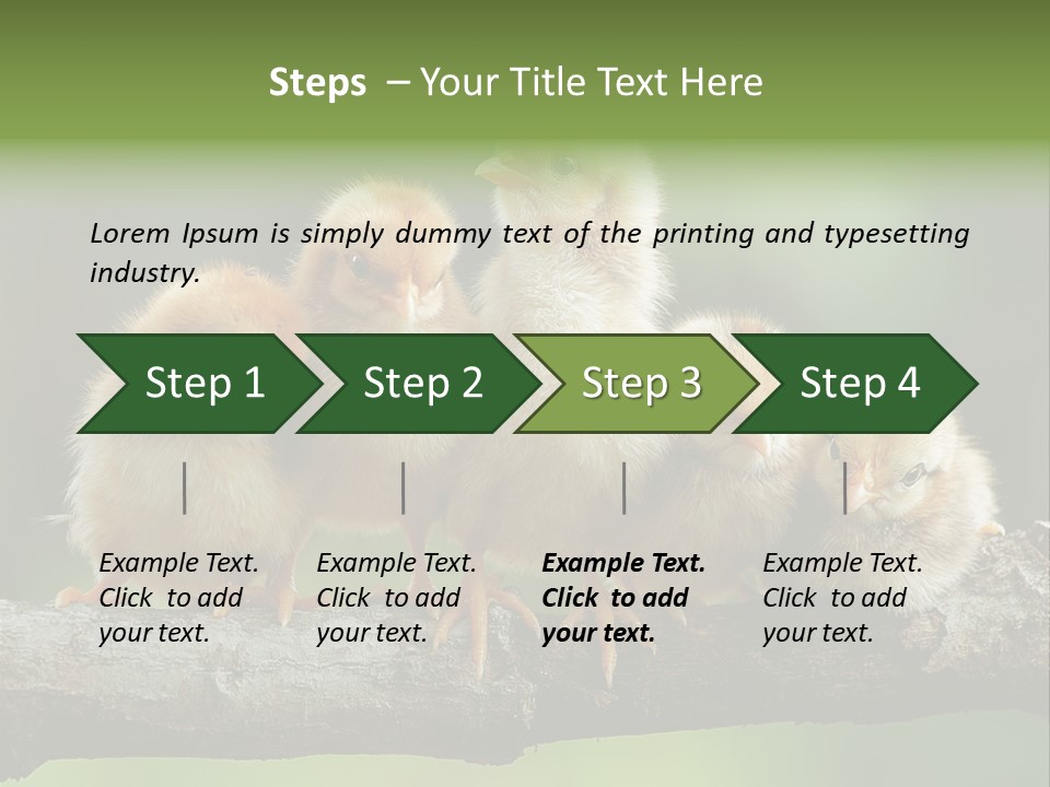 Babies Birds Birds On Tree Branch Newborns Chicks PowerPoint Template