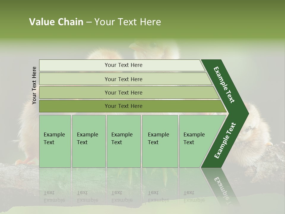 Babies Birds Birds On Tree Branch Newborns Chicks PowerPoint Template