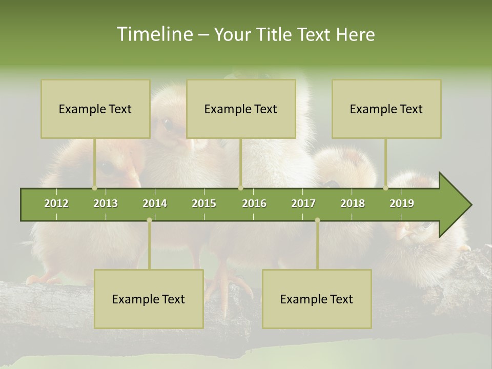 Babies Birds Birds On Tree Branch Newborns Chicks PowerPoint Template