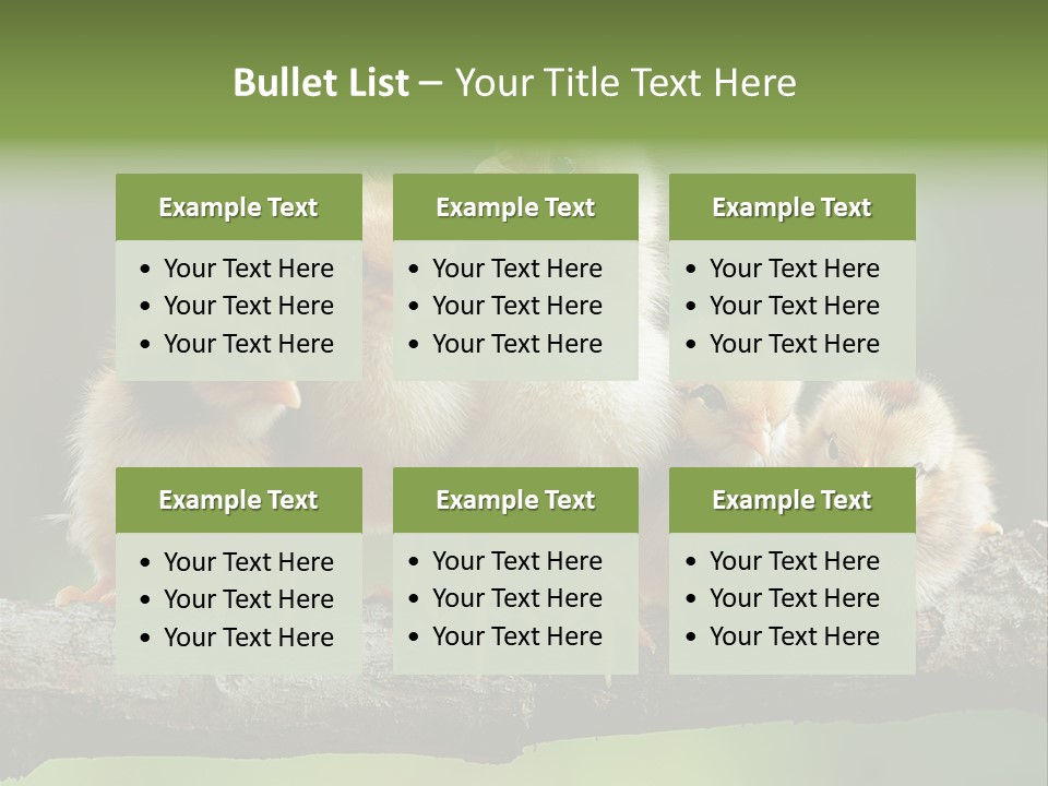 Babies Birds Birds On Tree Branch Newborns Chicks PowerPoint Template