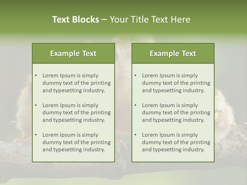 Babies Birds Birds On Tree Branch Newborns Chicks PowerPoint Template