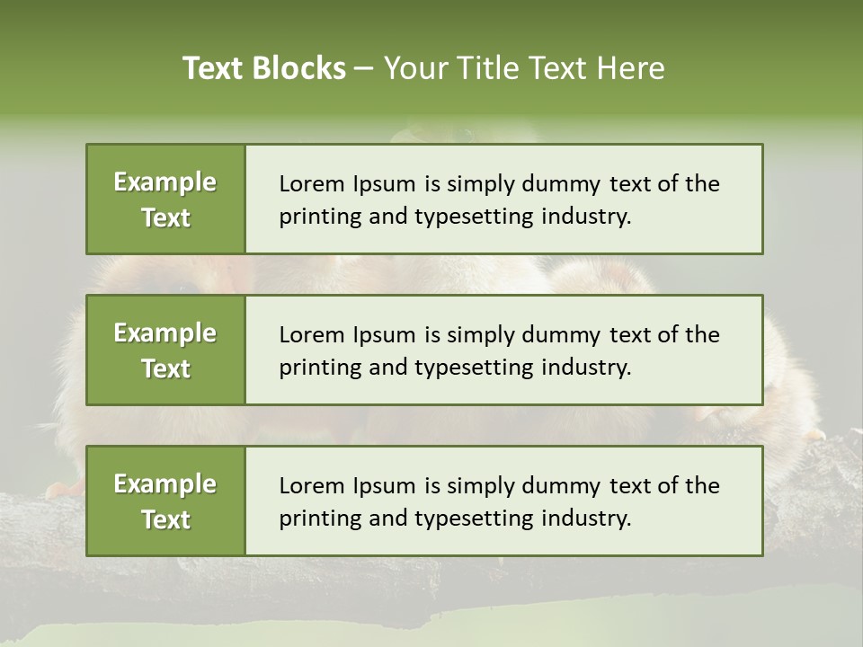 Babies Birds Birds On Tree Branch Newborns Chicks PowerPoint Template