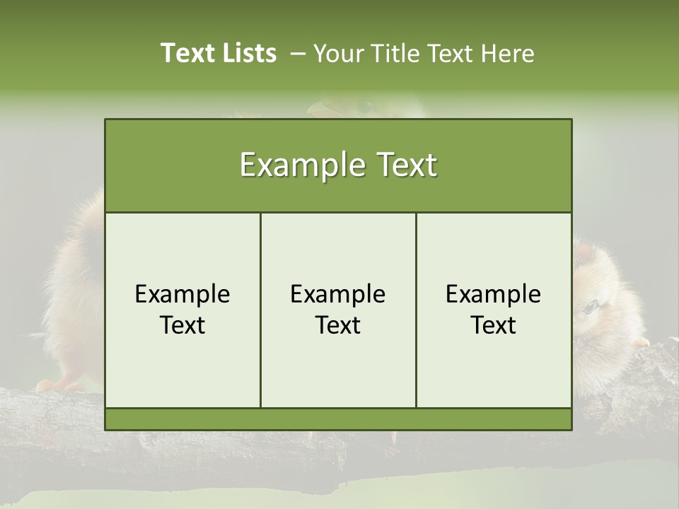 Babies Birds Birds On Tree Branch Newborns Chicks PowerPoint Template